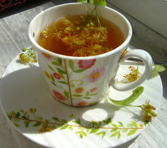 Linden Tree Tea